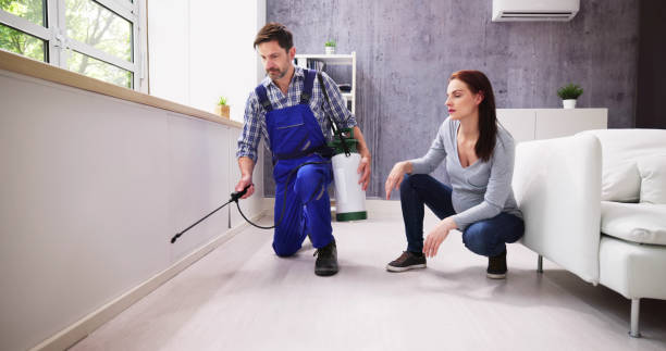 Reliable Rockford, MI Pest control Solutions